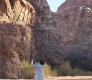 Wadi Rum Hotel | camel desert Wadi Rum