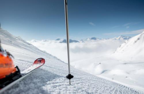 Bettmeralp Apartment | Camelot 3