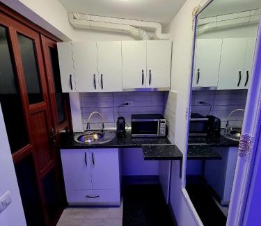 Comanesti Apartment | Camera/garsoniera in regim hotelier