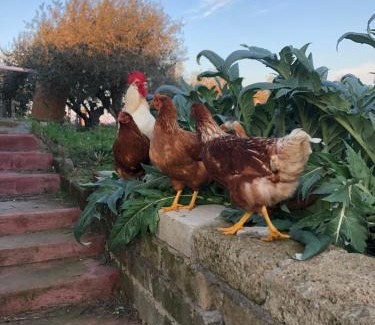 Nettuno House | Camera Sydney