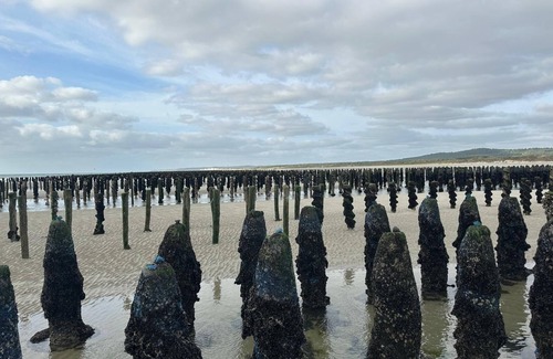 Camiers House | Camiers house