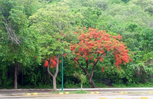 Santa Maria Huatulco Apartment | Camino al Mar