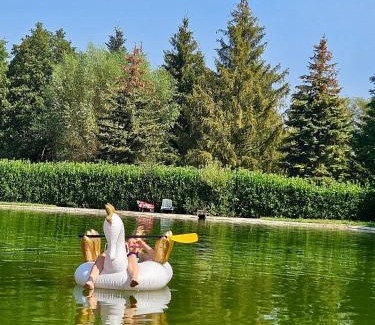 Dossenheim-sur-Zinsel Other | Camping Au pays de Hanau