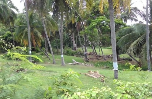 Newcastle RV Rental | Camping Barbados #2 Tent Near The Beach