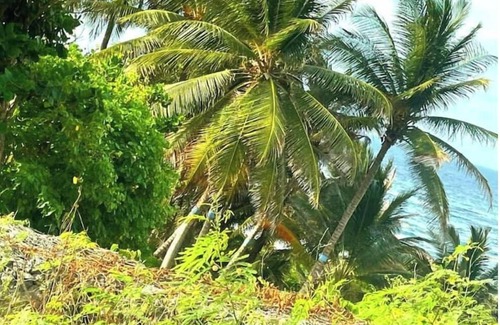 Newcastle RV Rental | Camping Barbados - Group Dome Tents Private Camp