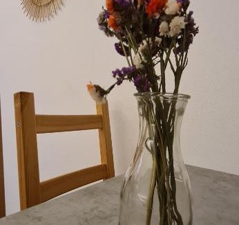 Zalongo Hotel | Camping Corali & Apartments