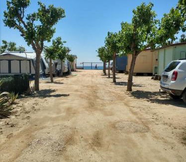 Santa Susanna Other | Camping el Pinar Platja