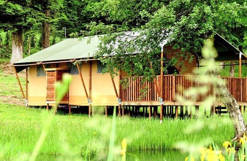 Louvemont House | Camping le Buisson * - Comfort Wooden Chalet 3 rooms 4 people