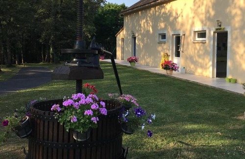 Saint-Sauveur Other | Camping les petites minaudières