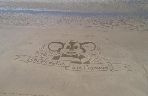 Ronce-les-Bains Other | Camping Officiel Siblu La Pignade