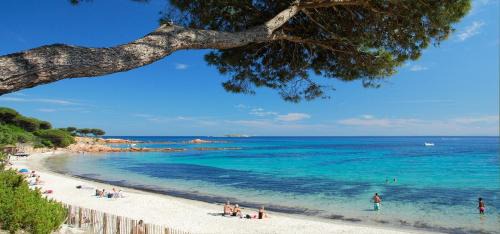 San-Gavino-di-Carbini Other | Camping Porto Vecchio