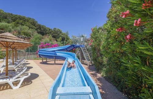 Cargese Other | Camping Torraccia