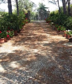 Cecina Apartment | Campo alle More