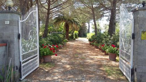 Cecina Apartment | Campo alle More