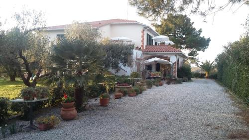 Cecina Apartment | Campo alle More