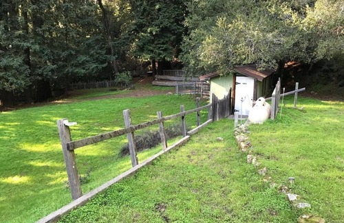 Los Gatos RV Rental | Campsite #7 Enchanted Forest Redwood Mountain Retreat