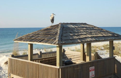 Gulf Shores Condo | Can't Beat This Direct Ocean View! Just Steps From the Beach!