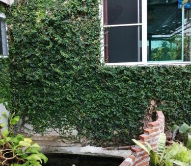 Ban Tai House | Canaan