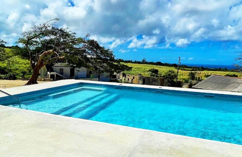 Gibbs Bay Apartment | Canvas and Cave Barbados