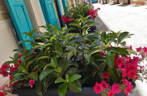 Margherita di Savoia Bed & Breakfast | Canzone del sole