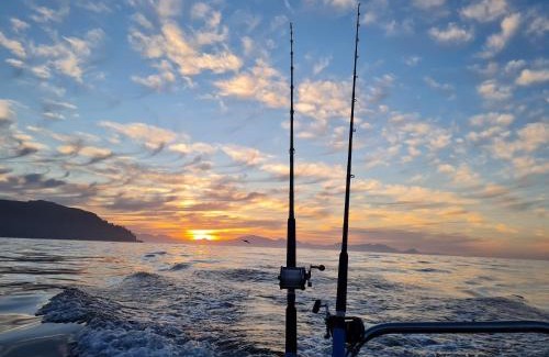 Simon's Town Boat Rental | Cape Marine Adventures