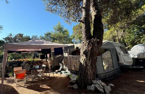 Susica Other | Caravan near the sea 4