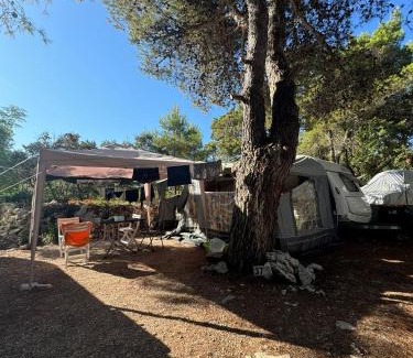 Susica Other | Caravan near the sea 4