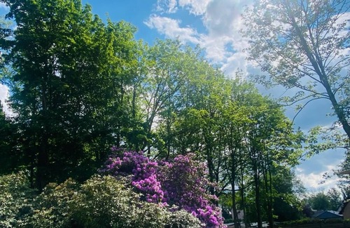 Lugau RV Rental | Caravan site Camping Mobil Feriengarten-im-Erzgebirge time-out vacation ERZ