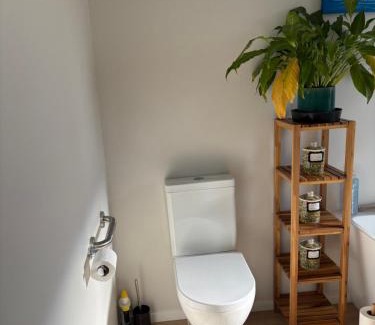 Napier Bed & Breakfast | CareGreen BnB