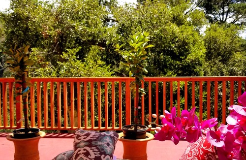 Hatton Fields Cottage | Carmel-by-the-Sea Escape