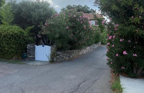 Poggio-dʼOletta Bed & Breakfast | Carpediem corsica adult only