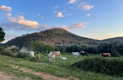 Itri House | CASA ADELE 1 per una vacanza in semplicità e relax in prossimità di Sperlonga