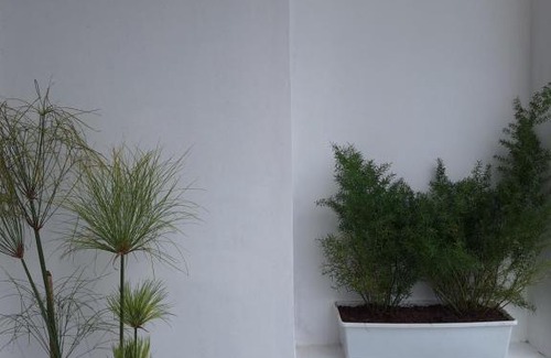 Barrio Centro House | Casa Alba