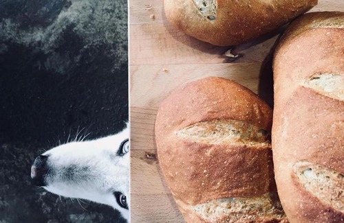 Hengchun Bed & Breakfast | Casa Aperta B&B