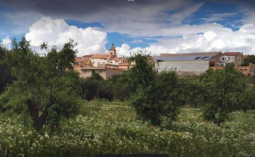 Utiel House | Casa Aurora, mi aldea ,entre viñas y almendros