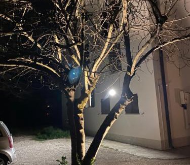 Novi di Modena House | Casa Bellodi