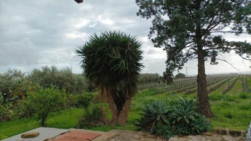 Menfi House | Casa Bouganville villetta tra le vigne e il mare