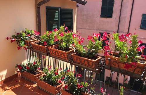 Montemarcello House | CASA CAMILLA - HOLIDAY HOUSE IN THE SPLENDID BORGO DI MONTEMARCELLO