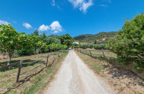 Marmi Apartment | Casa Camilla