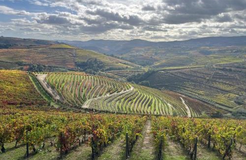 Mirandela House | Casa Cidade Jardim