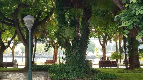 Mirandela House | Casa Cidade Jardim