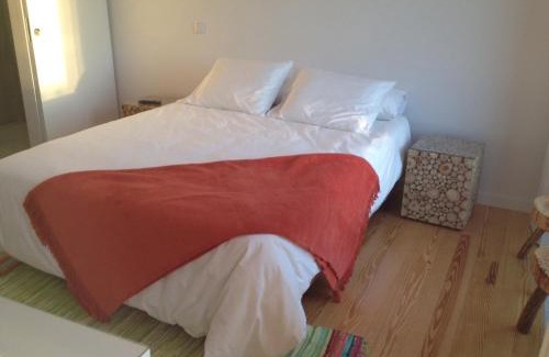 Paredes de Coura House | Casa das Boticas