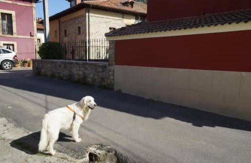 Cabrales House | Casa de Aldea El Sol