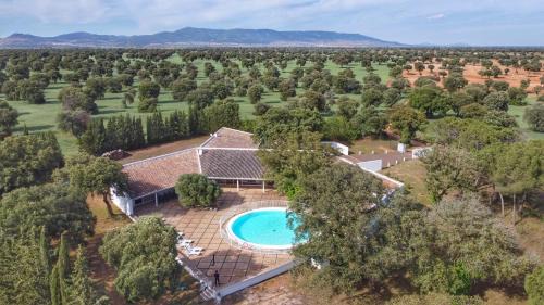 Daimiel House | Casa del Príncipe