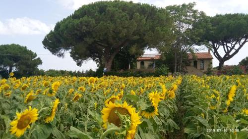 Campiglia Marittima House | Casa del Sole