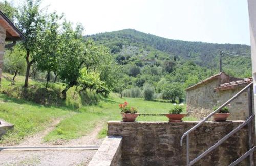 Castiglion Fiorentino Apartment | Casa dell Ulivo