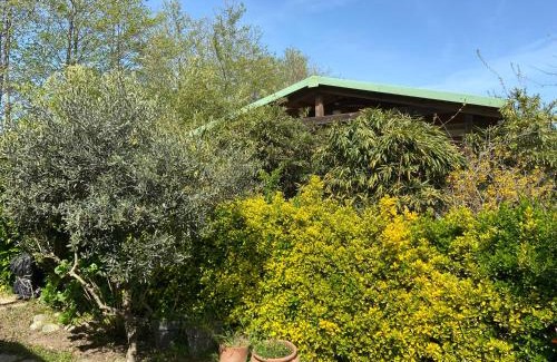 Sorbo-Ocagnano Ski Chalet | Casa di Babbo …la Cabane