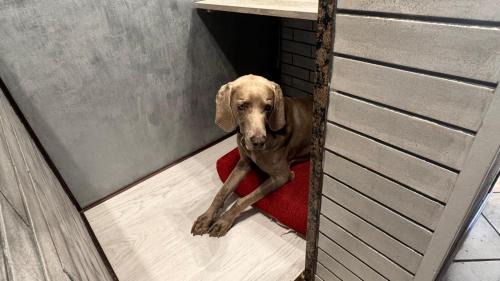 Muggia Apartment | Casa di Giovanni - Italien