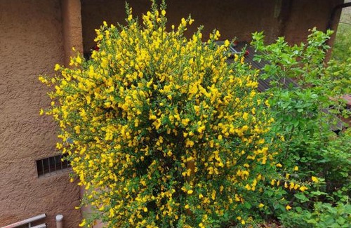 Bidogno House | Casa di vacanza in Capriasca (Lugano)