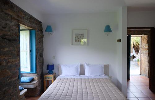 Canadelo House | Casa do Engenho - Canadelo Amarante